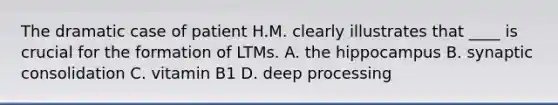 The dramatic case of patient H.M. clearly illustrates that ____ is crucial for the formation of LTMs. A. the hippocampus B. synaptic consolidation C. vitamin B1 D. deep processing