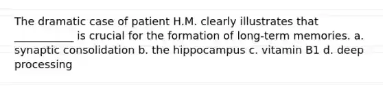 The dramatic case of patient H.M. clearly illustrates that ___________ is crucial for the formation of long-term memories. a. synaptic consolidation b. the hippocampus c. vitamin B1 d. deep processing