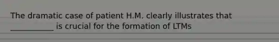 The dramatic case of patient H.M. clearly illustrates that ___________ is crucial for the formation of LTMs