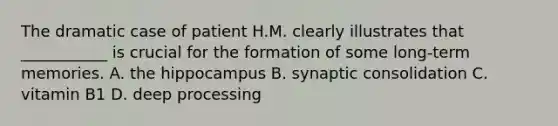 The dramatic case of patient H.M. clearly illustrates that ___________ is crucial for the formation of some long-term memories. A. the hippocampus B. synaptic consolidation C. vitamin B1 D. deep processing