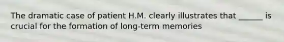 The dramatic case of patient H.M. clearly illustrates that ______ is crucial for the formation of long-term memories