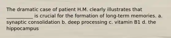 The dramatic case of patient H.M. clearly illustrates that ___________ is crucial for the formation of long-term memories. a. synaptic consolidation b. deep processing c. vitamin B1 d. the hippocampus