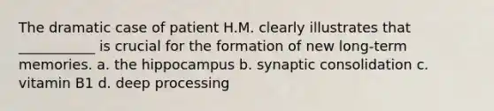 The dramatic case of patient H.M. clearly illustrates that ___________ is crucial for the formation of new long-term memories. a. the hippocampus b. synaptic consolidation c. vitamin B1 d. deep processing