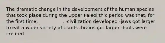 The dramatic change in the development of the human species that took place during the Upper Paleolithic period was that, for the first time, __________. -civilization developed -jaws got larger to eat a wider variety of plants -brains got larger -tools were created