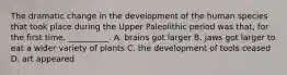 The dramatic change in the development of the human species that took place during the Upper Paleolithic period was that, for the first time, __________. A. brains got larger B. jaws got larger to eat a wider variety of plants C. the development of tools ceased D. art appeared