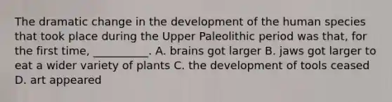 The dramatic change in the development of the human species that took place during the Upper Paleolithic period was that, for the first time, __________. A. brains got larger B. jaws got larger to eat a wider variety of plants C. the development of tools ceased D. art appeared