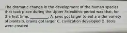 The dramatic change in the development of the human species that took place during the Upper Paleolithic period was that, for the first time, __________. A. jaws got larger to eat a wider variety of plants B. brains got larger C. civilization developed D. tools were created