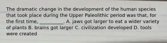 The dramatic change in the development of the human species that took place during the Upper Paleolithic period was that, for the first time, __________. A. jaws got larger to eat a wider variety of plants B. brains got larger C. civilization developed D. tools were created