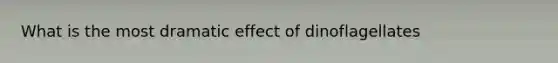 What is the most dramatic effect of dinoflagellates