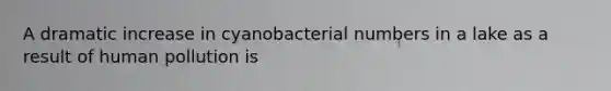 A dramatic increase in cyanobacterial numbers in a lake as a result of human pollution is
