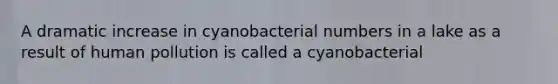 A dramatic increase in cyanobacterial numbers in a lake as a result of human pollution is called a cyanobacterial