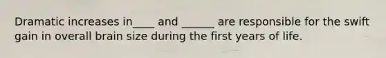 Dramatic increases in____ and ______ are responsible for the swift gain in overall brain size during the first years of life.