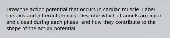 Draw the action potential that occurs in cardiac muscle. Label the axis and different phases. Describe which channels are open and closed during each phase, and how they contribute to the shape of the action potential.