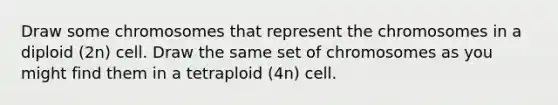 Draw some chromosomes that represent the chromosomes in a diploid (2n) cell. Draw the same set of chromosomes as you might find them in a tetraploid (4n) cell.