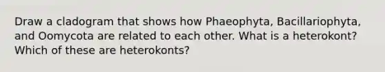 Draw a cladogram that shows how Phaeophyta, Bacillariophyta, and Oomycota are related to each other. What is a heterokont? Which of these are heterokonts?