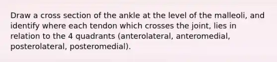 Draw a cross section of the ankle at the level of the malleoli, and identify where each tendon which crosses the joint, lies in relation to the 4 quadrants (anterolateral, anteromedial, posterolateral, posteromedial).