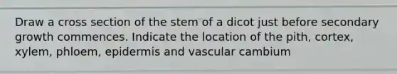 Draw a cross section of the stem of a dicot just before secondary growth commences. Indicate the location of the pith, cortex, xylem, phloem, epidermis and vascular cambium