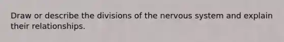 Draw or describe the divisions of the nervous system and explain their relationships.