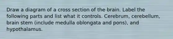 Draw a diagram of a cross section of the brain. Label the following parts and list what it controls. Cerebrum, cerebellum, brain stem (include medulla oblongata and pons), and hypothalamus.