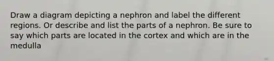 Draw a diagram depicting a nephron and label the different regions. Or describe and list the parts of a nephron. Be sure to say which parts are located in the cortex and which are in the medulla