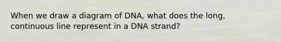 When we draw a diagram of DNA, what does the long, continuous line represent in a DNA strand?