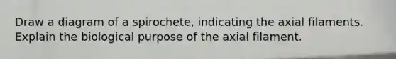 Draw a diagram of a spirochete, indicating the axial filaments. Explain the biological purpose of the axial filament.