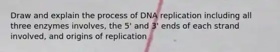 Draw and explain the process of <a href='https://www.questionai.com/knowledge/kofV2VQU2J-dna-replication' class='anchor-knowledge'>dna replication</a> including all three enzymes involves, the 5' and 3' ends of each strand involved, and origins of replication