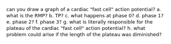 can you draw a graph of a cardiac "fast cell" action potential? a. what is the RMP? b. TP? c. what happens at phase 0? d. phase 1? e. phase 2? f. phase 3? g. what is literally responsible for the plateau of the cardiac "fast cell" action potential? h. what problem could arise if the length of the plateau was diminished?