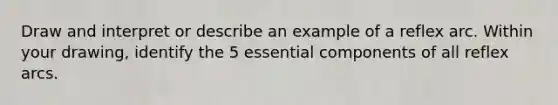 Draw and interpret or describe an example of a reflex arc. Within your drawing, identify the 5 essential components of all reflex arcs.