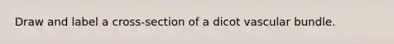 Draw and label a cross-section of a dicot vascular bundle.