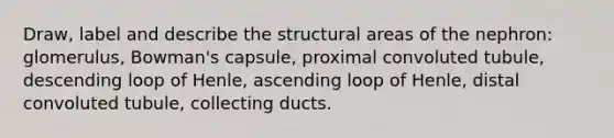 Draw, label and describe the structural areas of the nephron: glomerulus, Bowman's capsule, proximal convoluted tubule, descending loop of Henle, ascending loop of Henle, distal convoluted tubule, collecting ducts.