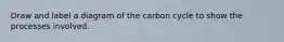 Draw and label a diagram of the carbon cycle to show the processes involved.