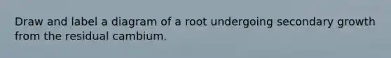 Draw and label a diagram of a root undergoing secondary growth from the residual cambium.