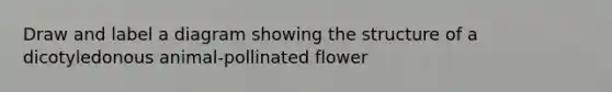 Draw and label a diagram showing the structure of a dicotyledonous animal-pollinated flower