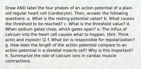 Draw AND label the four phases of an action potential of a plain old regular heart cell (cardiocyte). Then, answer the following questions: a. What is the resting potential value? b. What causes the threshold to be reached? c. What is the threshold value? d. When sodium gates close, which gates open? e. The influx of calcium into the heart cell causes what to happen. Hint: Think actin and myosin! ☺ f. What ion is responsible for repolarization? g. How does the length of the action potential compare to an action potential in a skeletal muscle cell? Why is this important? h. Summarize the role of calcium ions in cardiac muscle contractions.