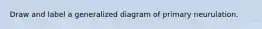 Draw and label a generalized diagram of primary neurulation.