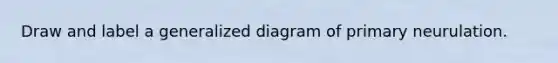 Draw and label a generalized diagram of primary neurulation.