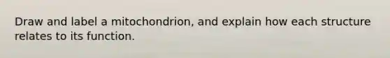 Draw and label a mitochondrion, and explain how each structure relates to its function.