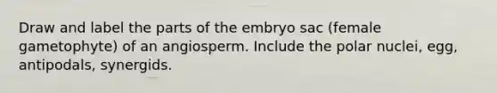 Draw and label the parts of the embryo sac (female gametophyte) of an angiosperm. Include the polar nuclei, egg, antipodals, synergids.