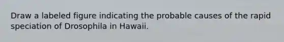 Draw a labeled figure indicating the probable causes of the rapid speciation of Drosophila in Hawaii.