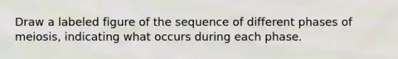 Draw a labeled figure of the sequence of different phases of meiosis, indicating what occurs during each phase.