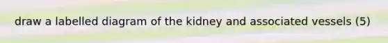 draw a labelled diagram of the kidney and associated vessels (5)