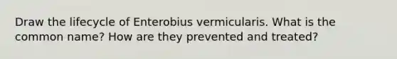 Draw the lifecycle of Enterobius vermicularis. What is the common name? How are they prevented and treated?