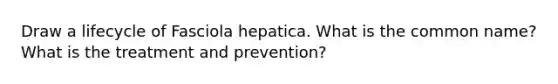 Draw a lifecycle of Fasciola hepatica. What is the common name? What is the treatment and prevention?