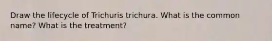 Draw the lifecycle of Trichuris trichura. What is the common name? What is the treatment?