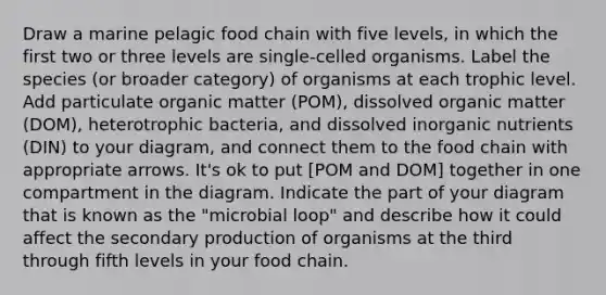 Draw a marine pelagic food chain with five levels, in which the first two or three levels are single-celled organisms. Label the species (or broader category) of organisms at each trophic level. Add particulate organic matter (POM), dissolved organic matter (DOM), heterotrophic bacteria, and dissolved inorganic nutrients (DIN) to your diagram, and connect them to the food chain with appropriate arrows. It's ok to put [POM and DOM] together in one compartment in the diagram. Indicate the part of your diagram that is known as the "microbial loop" and describe how it could affect the secondary production of organisms at the third through fifth levels in your food chain.