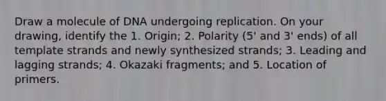 Draw a molecule of DNA undergoing replication. On your drawing, identify the 1. Origin; 2. Polarity (5' and 3' ends) of all template strands and newly synthesized strands; 3. Leading and lagging strands; 4. Okazaki fragments; and 5. Location of primers.