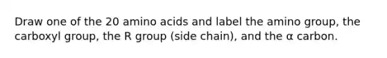 Draw one of the 20 <a href='https://www.questionai.com/knowledge/k9gb720LCl-amino-acids' class='anchor-knowledge'>amino acids</a> and label the amino group, the carboxyl group, the R group (side chain), and the α carbon.