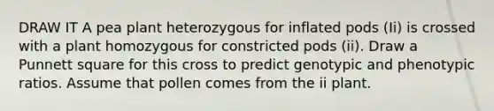 DRAW IT A pea plant heterozygous for inflated pods (Ii) is crossed with a plant homozygous for constricted pods (ii). Draw a Punnett square for this cross to predict genotypic and phenotypic ratios. Assume that pollen comes from the ii plant.