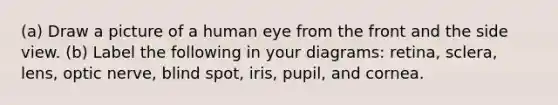 (a) Draw a picture of a human eye from the front and the side view. (b) Label the following in your diagrams: retina, sclera, lens, optic nerve, blind spot, iris, pupil, and cornea.